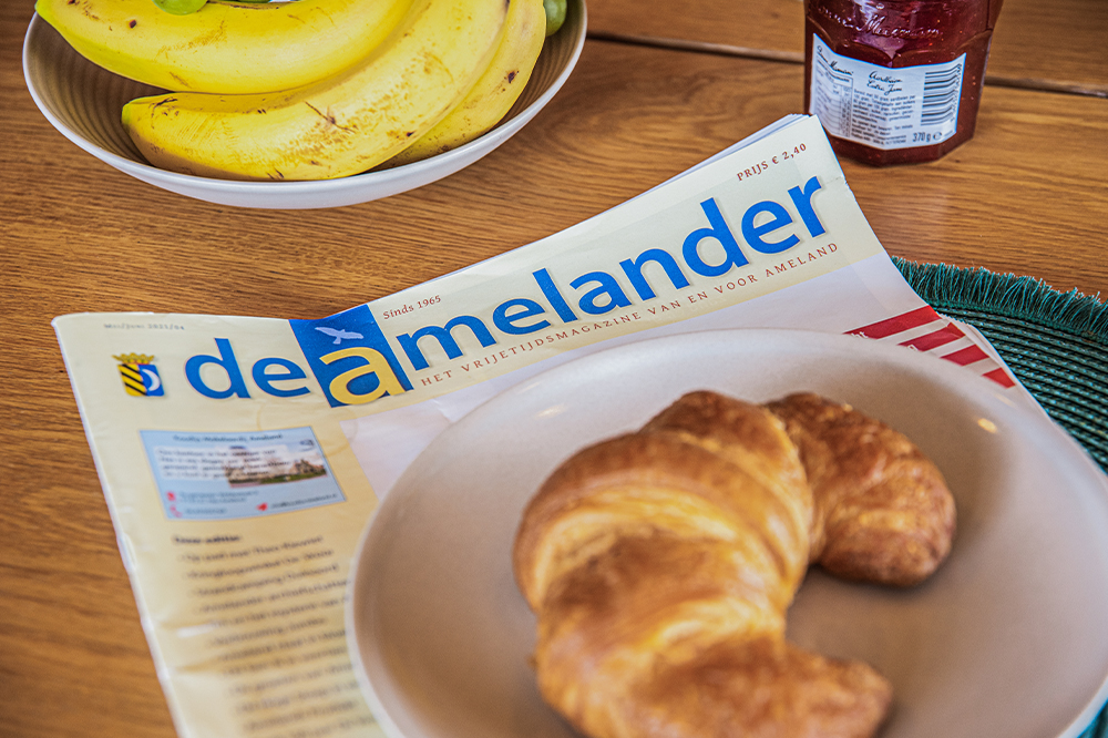 Ameland Wellnesshuizen
