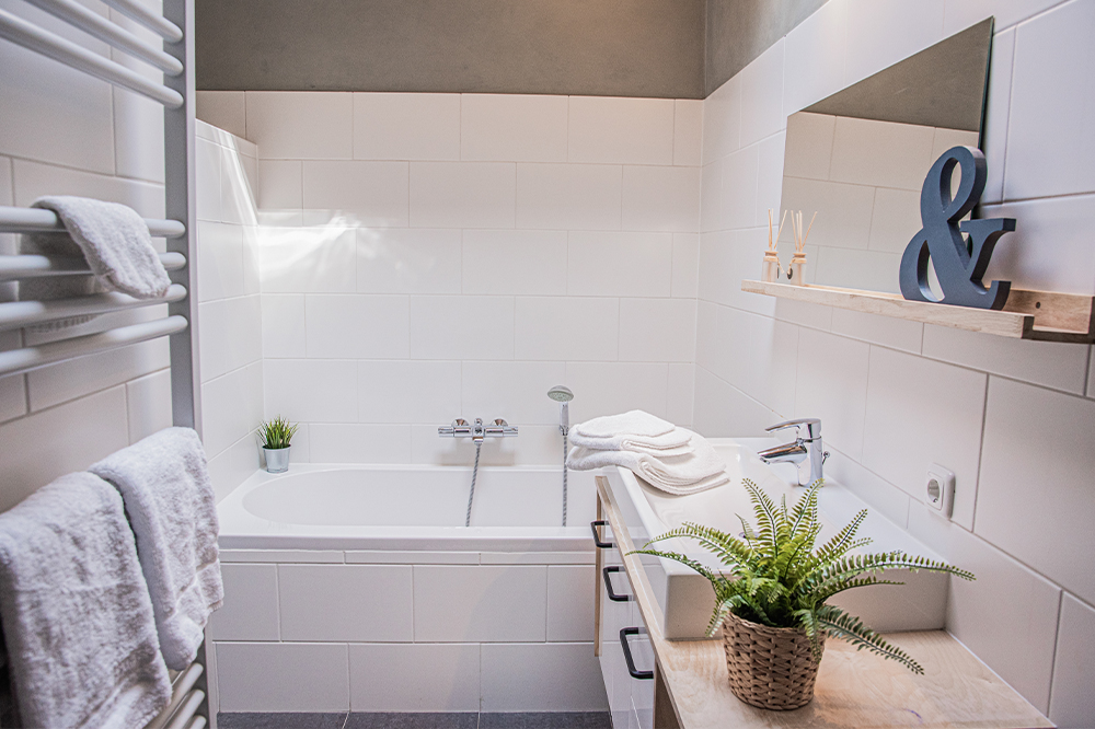 Ameland Wellnesshuizen